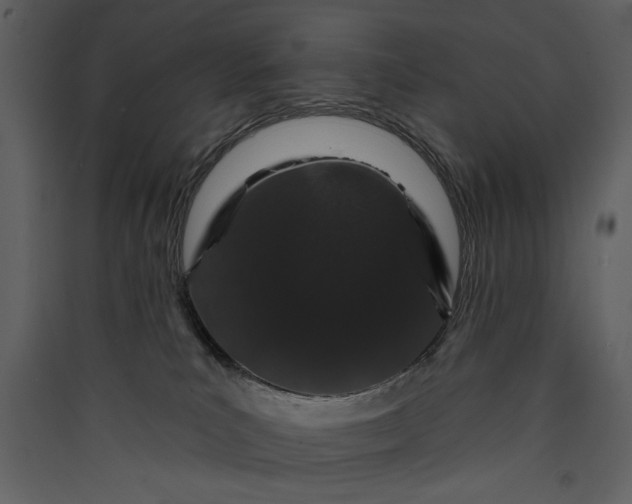 X0000089910039200707131358