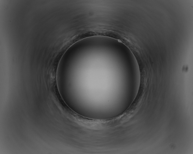X0000089910040200707131358