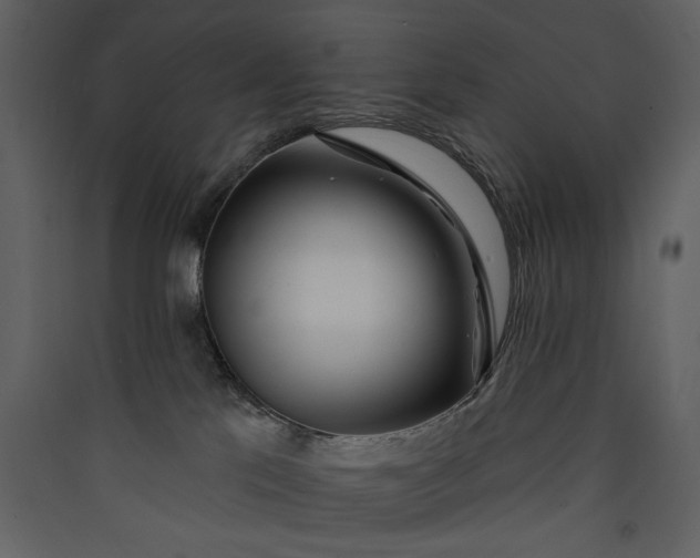 X0000089910041200707131358