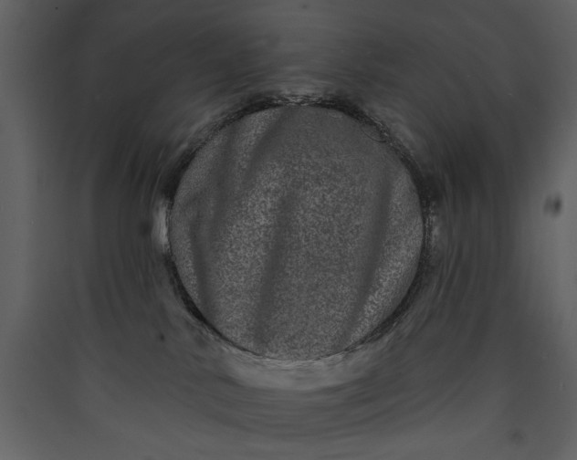 X0000089910042200707131358