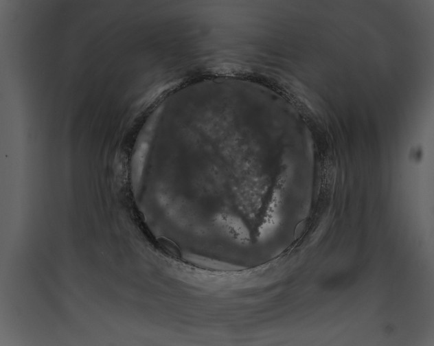 X0000089910043200707131358