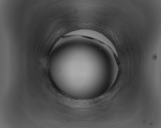 X0000089910044200707131358