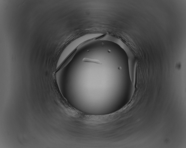 X0000089910045200707131358