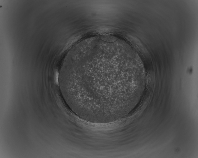 X0000089910046200707131358