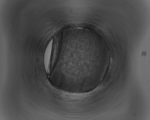 X0000089910048200707131358