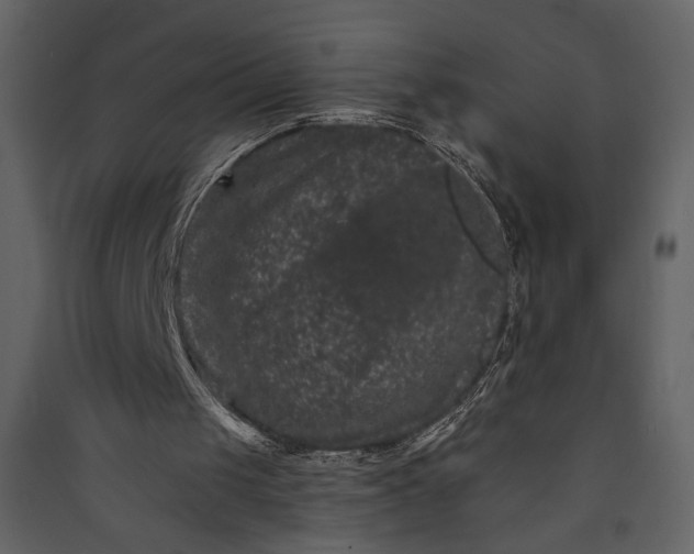 X0000089910049200707131357