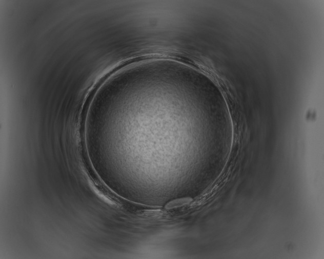 X0000089910050200707131358