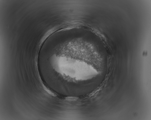 X0000089910051200707131358