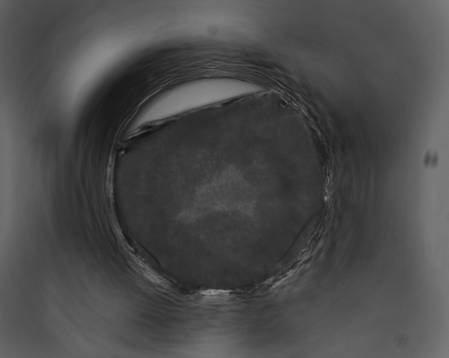 X0000089910052200707131358