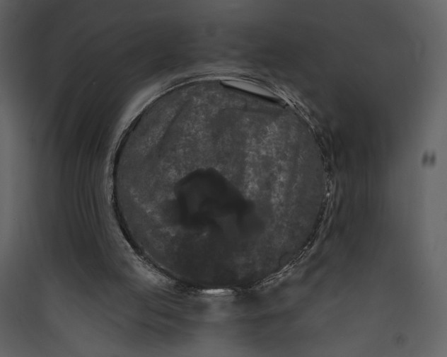 X0000089910053200707131358