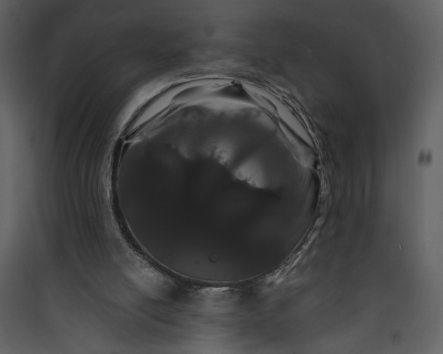 X0000089910054200707131358