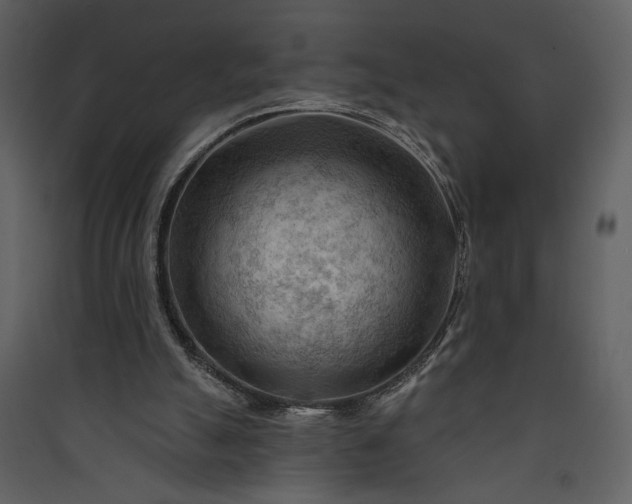 X0000089910055200707131358
