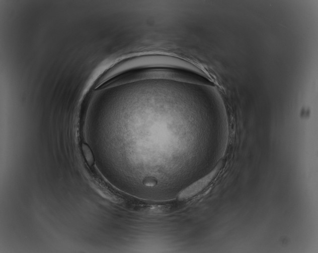 X0000089910056200707131358