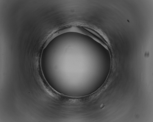 X0000089910057200707131358