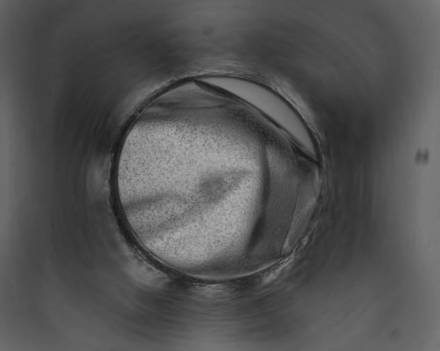 X0000089910058200707131358