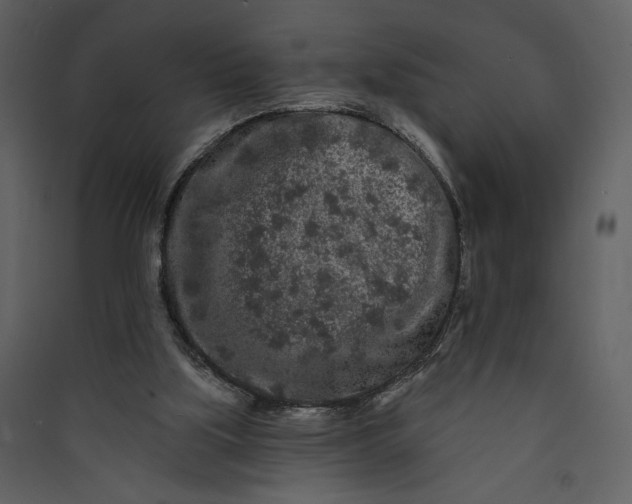 X0000089910059200707131358
