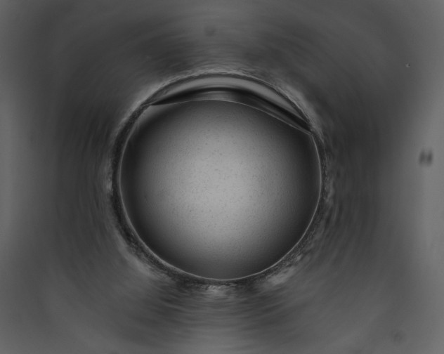 X0000089910060200707131358