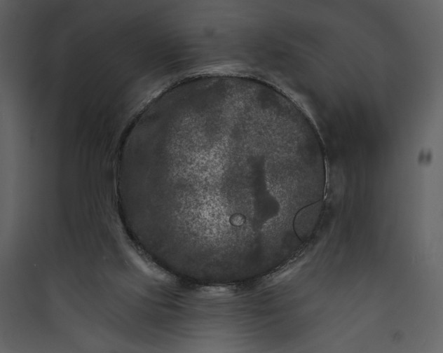 X0000089910061200707131358