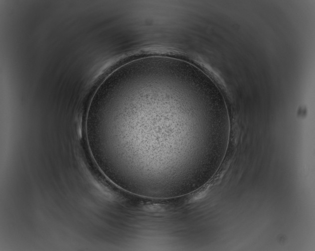 X0000089910062200707131358