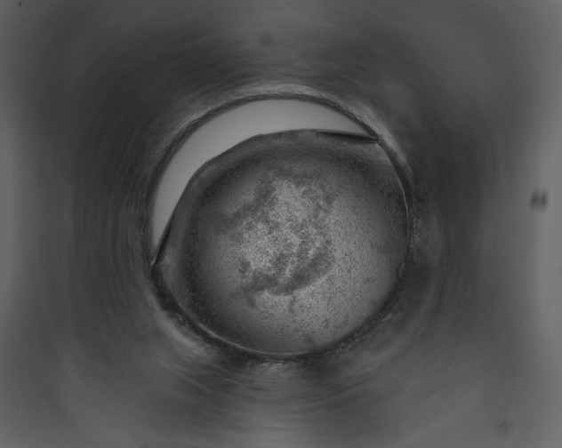 X0000089910063200707131358