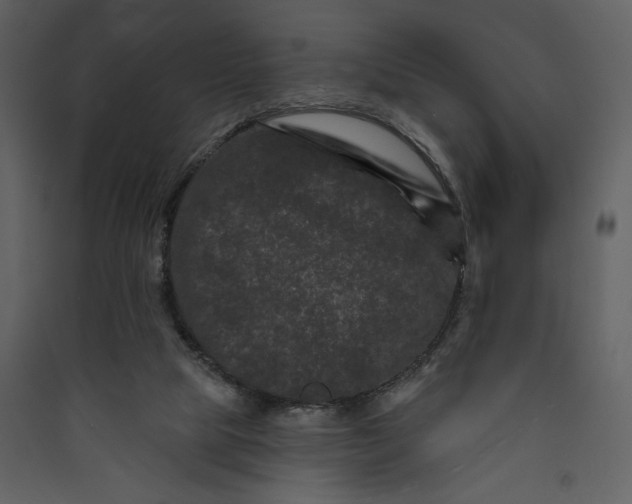 X0000089910065200707131358
