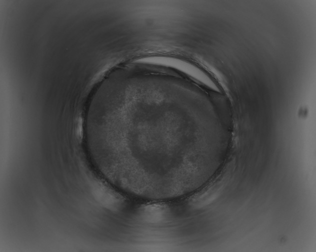 X0000089910067200707131358