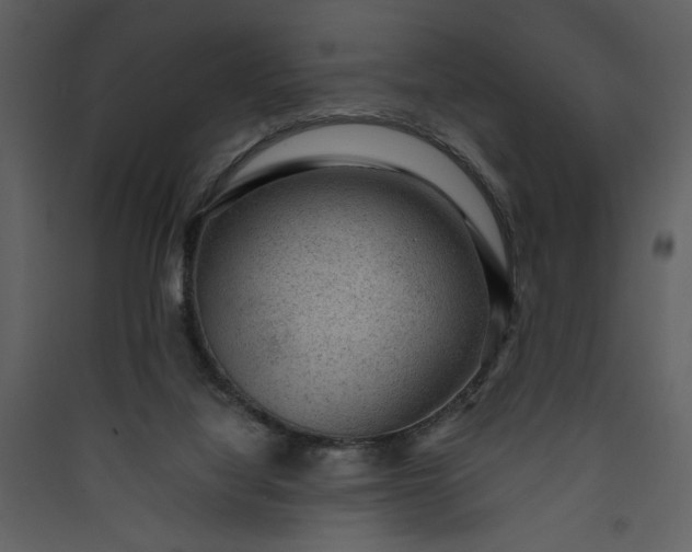 X0000089910068200707131358