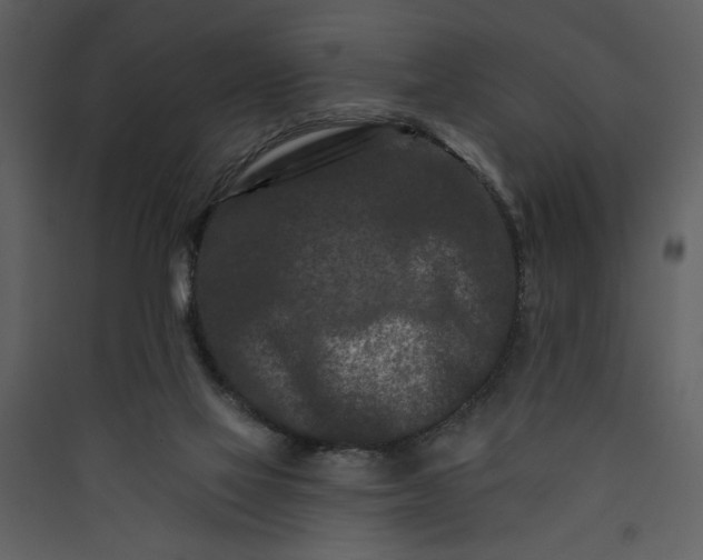 X0000089910069200707131358