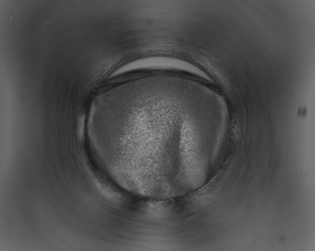 X0000089910070200707131358