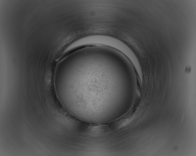 X0000089910072200707131358