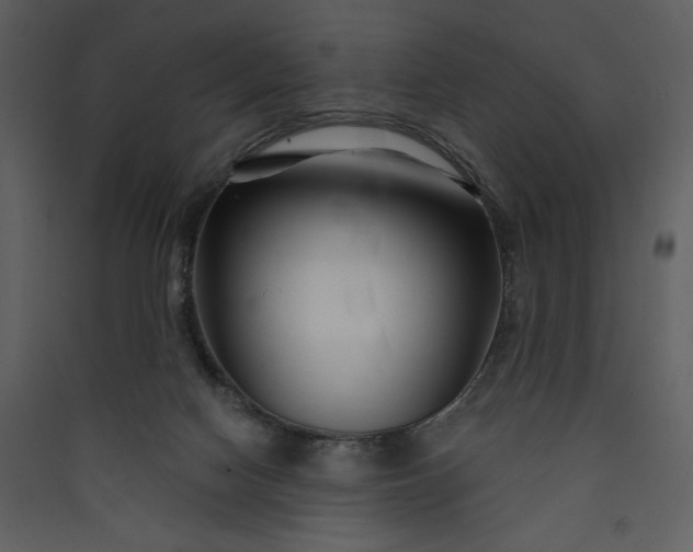 X0000089910074200707131358