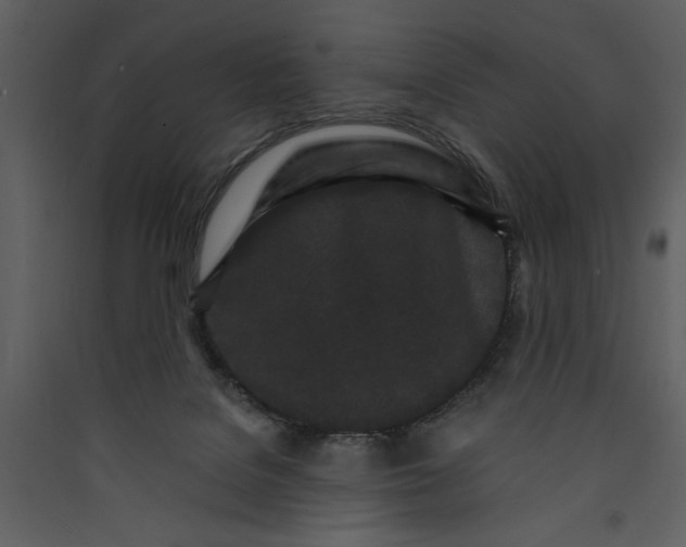 X0000089910076200707131358