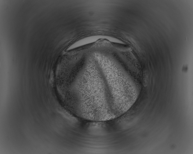 X0000089910077200707131358