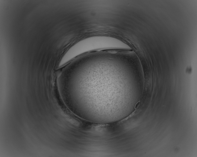 X0000089910078200707131358