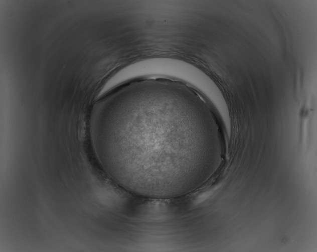 X0000089910080200707131358