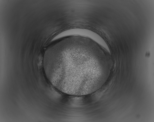 X0000089910081200707131358