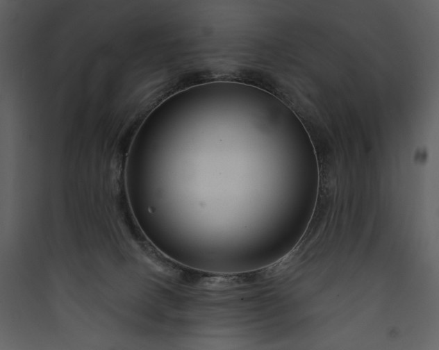 X0000089910082200707131358