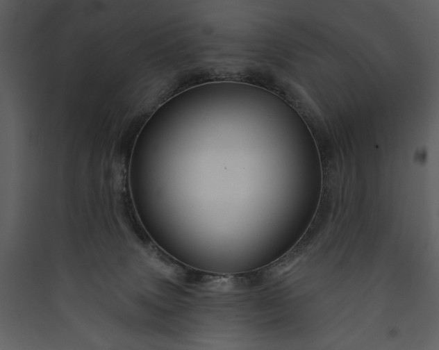 X0000089910083200707131358