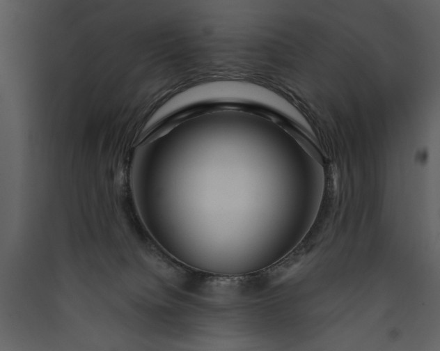 X0000089910084200707131358