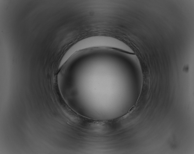X0000089910086200707131358