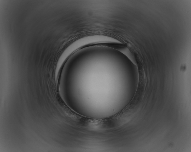 X0000089910088200707131358