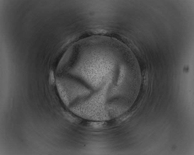 X0000089910089200707131358