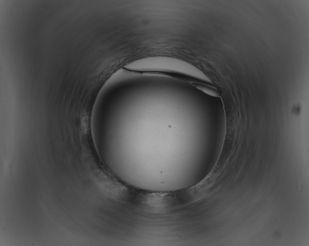 X0000089910090200707131358