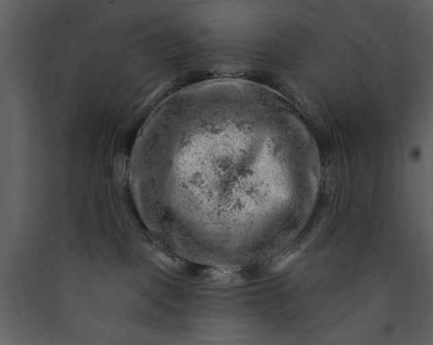 X0000089910093200707131358