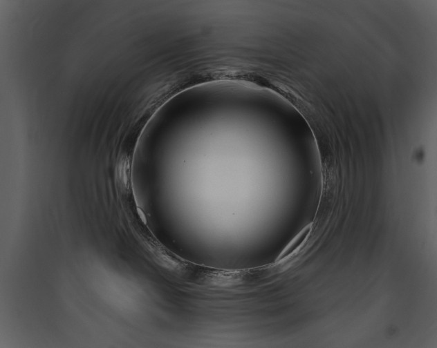 X0000089910094200707131358