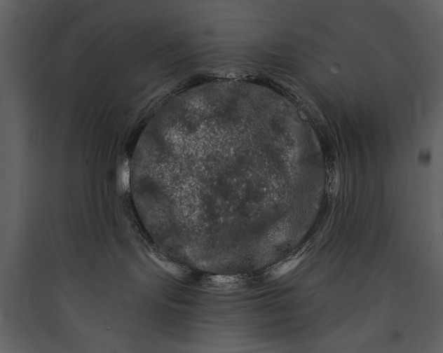 X0000089910095200707131358