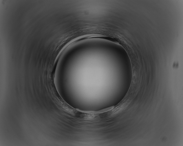X0000089910096200707131358