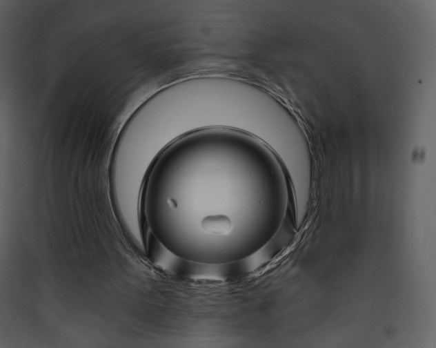 X0000089910099200707131357