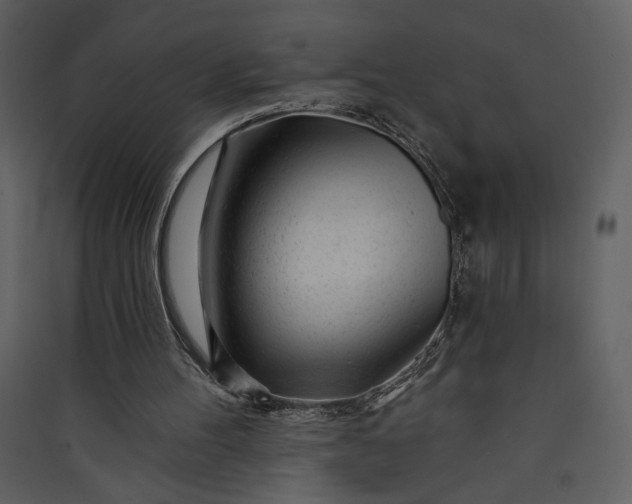 X0000089910100200707131357