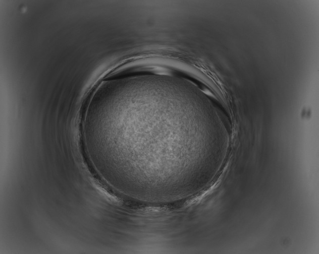 X0000089910101200707131357